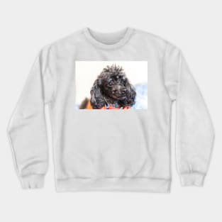 Looking at you human Crewneck Sweatshirt